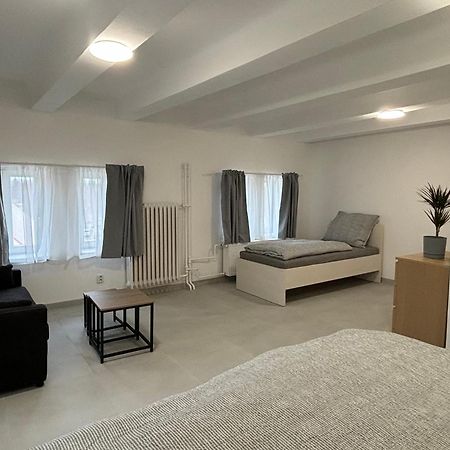 Apartmany Plzen Rolnicke Namesti 8 エクステリア 写真