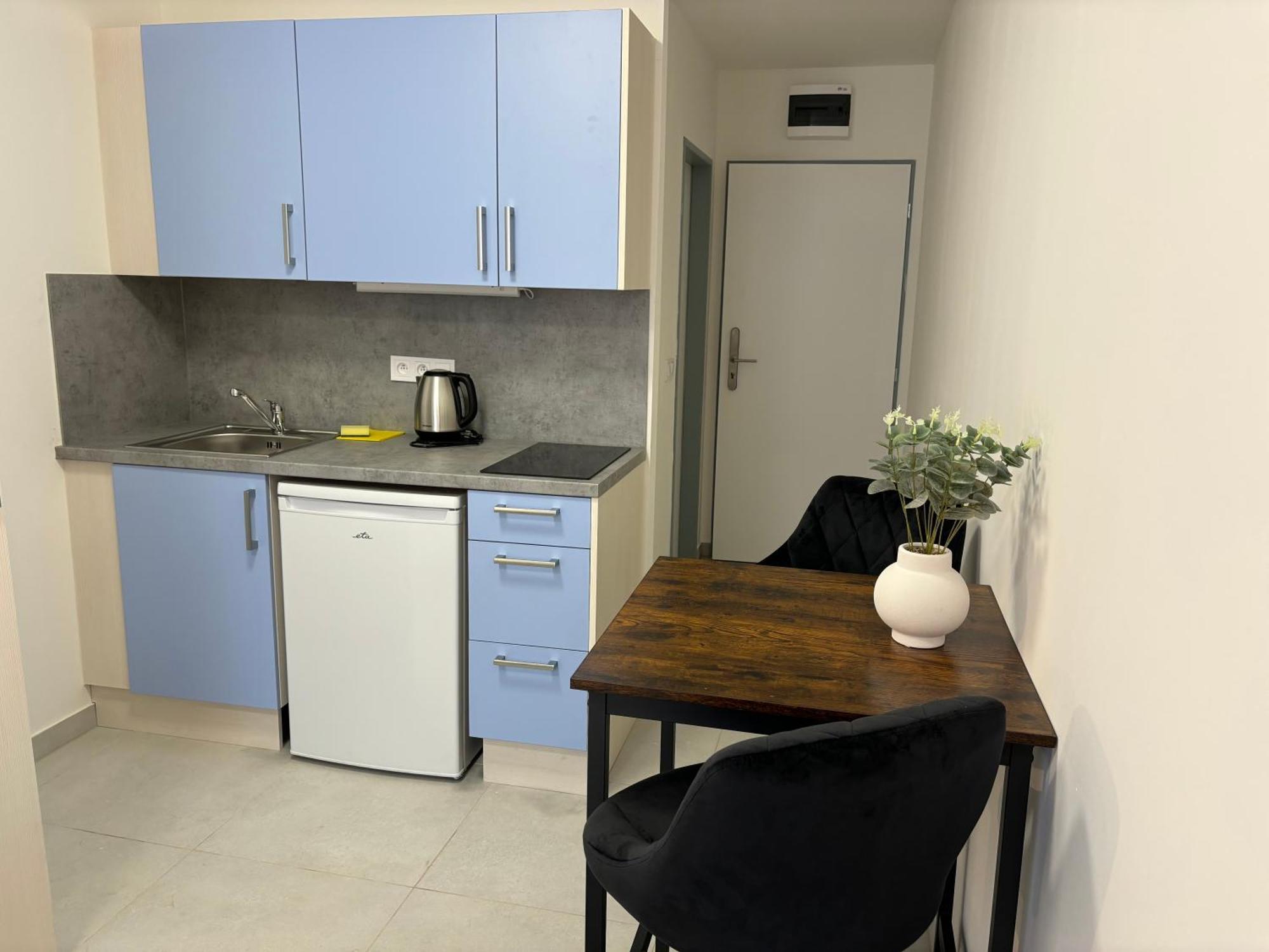 Apartmany Plzen Rolnicke Namesti 8 エクステリア 写真